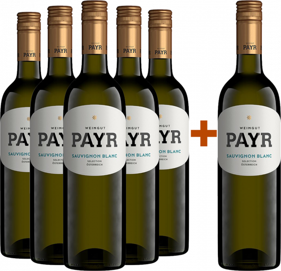 5+1 Sauvignon Blanc Selection ÖTW Gutswein BIO Bio - Bio Weingut Robert Payr