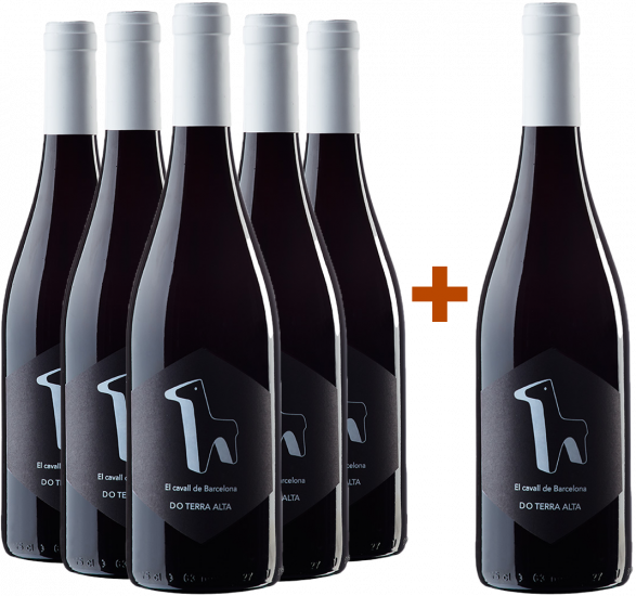 Aktionspaket 5+1 El Cavall de Barcelona Terra Alta DO - Bodegas Aessir Terra Alta