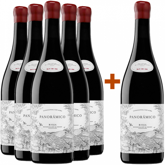 Aktionspaket 5+1 Panorámico Tinto Rioja DOCa - Vinos del Panorámico