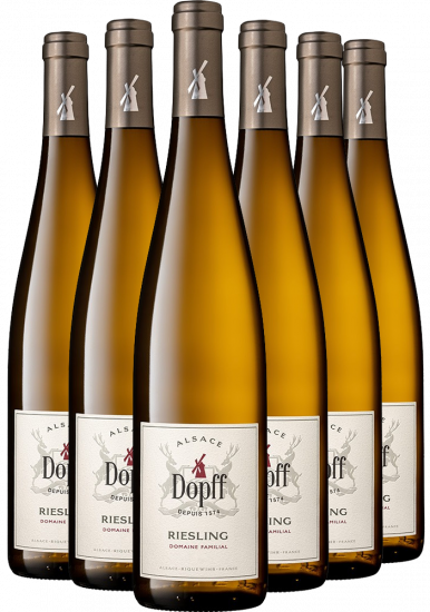 Rabattiertes Paket Riesling 