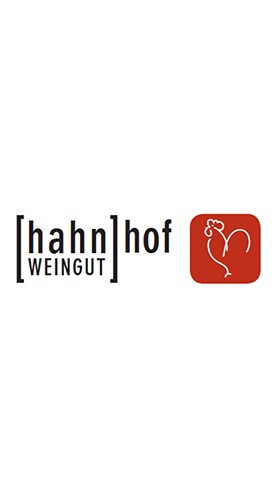 2017 er Westhofener Morstein Riesling trocken - Weingut Hahnhof