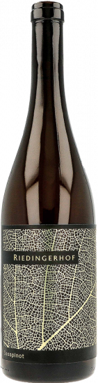 2021 Sasspinot Mitterberg IGP trocken - Riedingerhof