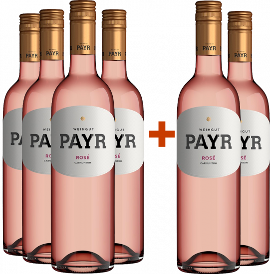 4+2 Paket Rosé ÖTW Gutswein BIO Bio - Bio Weingut Robert Payr