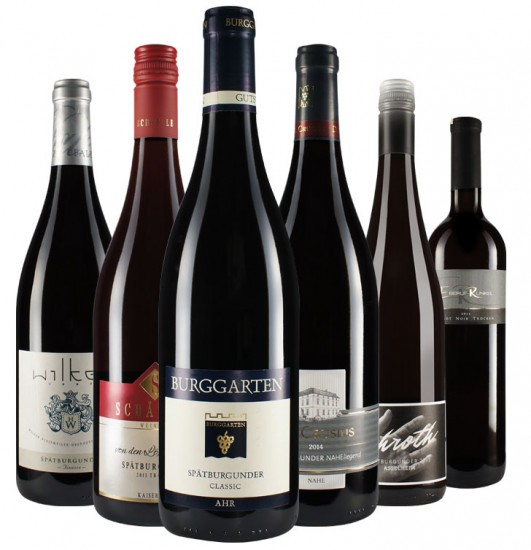10% Rabatt WirWinzer-Favoriten: Spätburgunder-Paket trocken 2.0