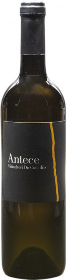 2022 Antece Cilento Fiano DOC trocken - Viticoltori De Conciliis