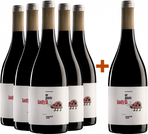 5+1 Aktionspaket Lady B Yecla DO Bio - Bodegas Antonio Candela