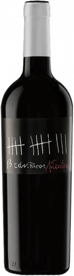 2024 13 Cántaros Cigales DO trocken - Bodegas Cesar Príncipe