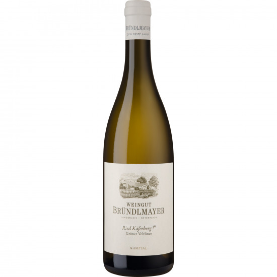 2023 Bründlmayer Ried Käferberg Grüner Veltliner trocken Bio - Weingut Bründlmayer