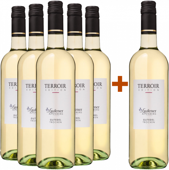 5+1 Paket Gutedel trocken - Winzerkeller Auggener Schäf