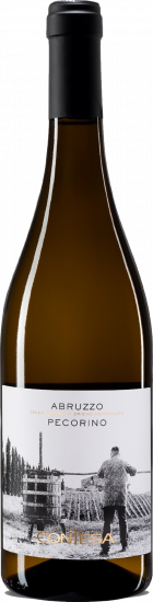 2025 Pecorino Abruzzo DOC trocken Bio - Azienda Agricola Contesa