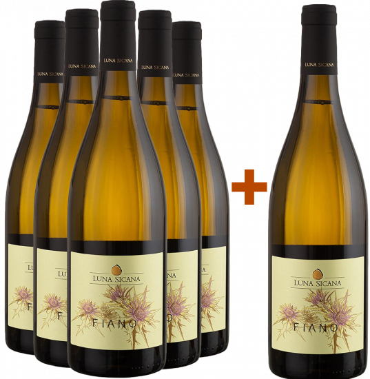 5+1 Paket Fiano Sicilia DOC BIO Bio - Luna Sicana