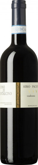 2020 Rosso di Montalcino DOC trocken - 