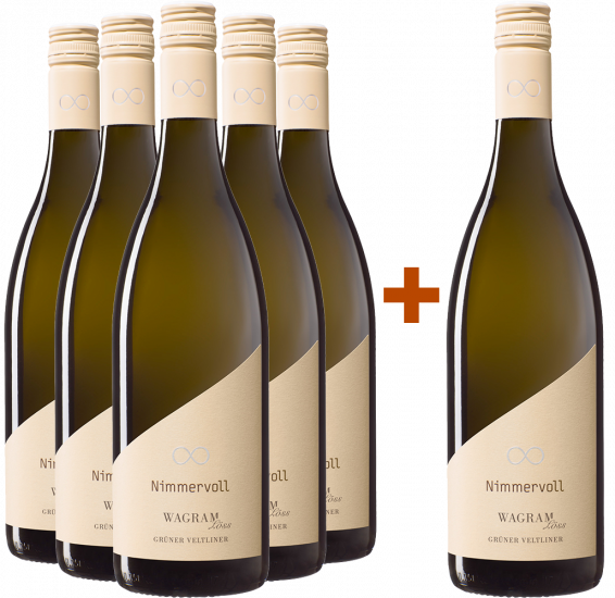 5+1 Paket Grüner Veltiner 
