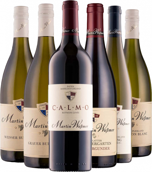 Martin Waßmer Kennenlern-Paket - Weingut Martin Waßmer