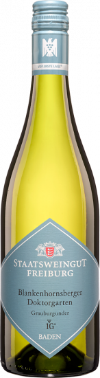 2021 Blankenhornsberger Doktorgarten Grauburgunder VDP.ERSTES GEWÄCHS trocken - Staatsweingut Freiburg