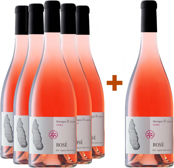 5+1 Paket Rosé Vigneti delle Dolomiti IGP trocken - Weingut H. Lentsch