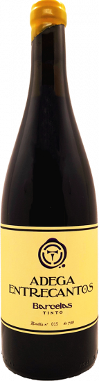 2021 Barcelas Tinto trocken - Adega Entrecantos