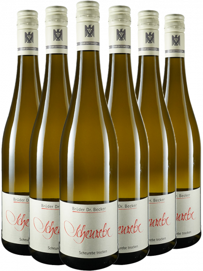 Paket Scheurebe VDP Gutswein trocken Bio - Weingut Brüder Dr. Becker