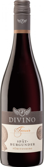 2021 DIVINO Terroir Escherndorfer Fürstenberg Spätburgunder trocken - Divino eG