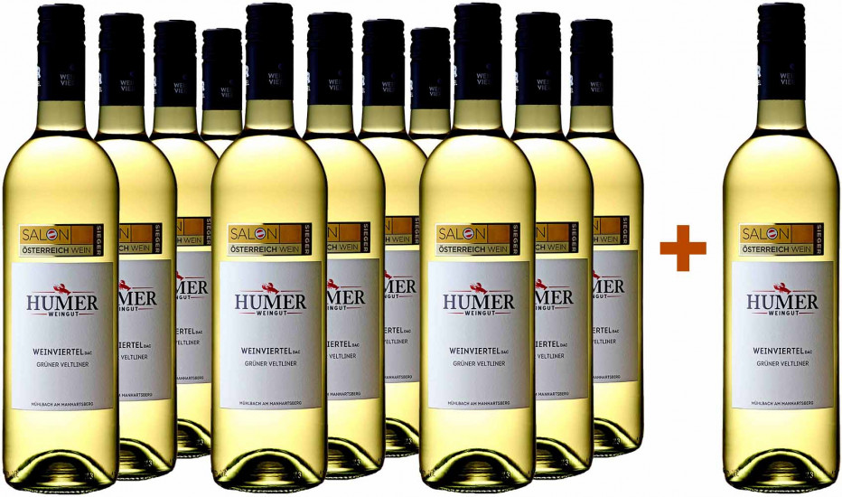 11+1 Paket 2022 Grüner Veltliner Weinviertel DAC 