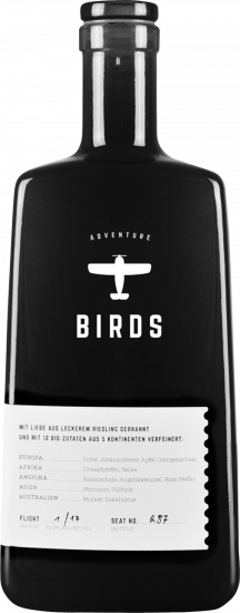 Birds Adventure