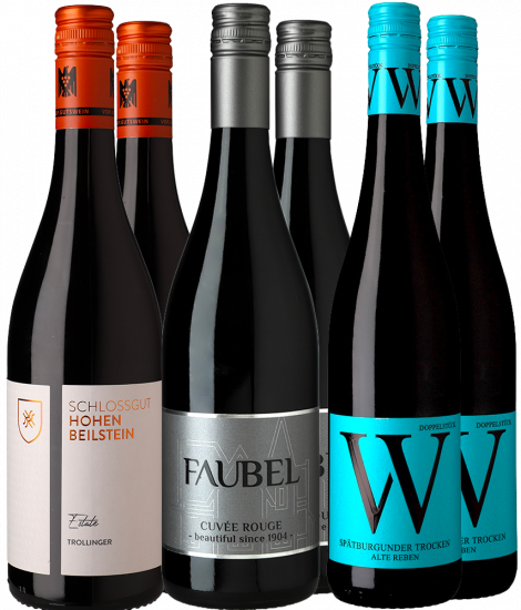 Rotwein Sommerwein-Paket - WirWinzer Select