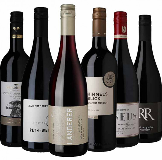 Spätburgunder Entdecker-Paket