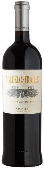 2016 Valdelosfrailes Pago de Las Costanas DO Cigales trocken - Bodega Valdelosfrailes