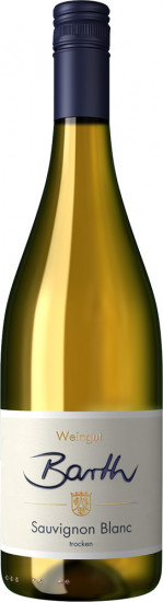 2022 Sauvignon Blanc trocken - Weingut Barth