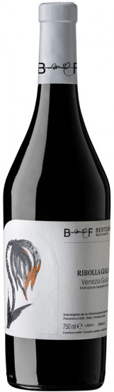 2024 Ribolla Gialla Venezia Giulia IGP trocken - Berto & Fiorella Baccichetto