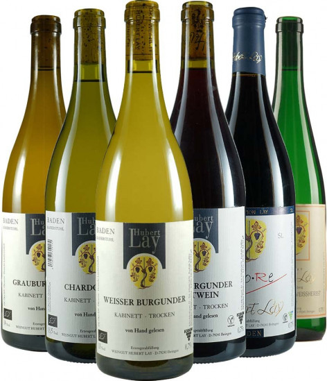 Kennenlern-Paket BIO - Weingut Lay