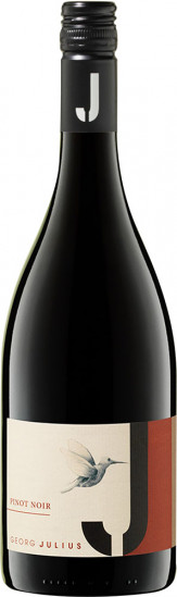 2024 PINOT Noir Spätburgunder trocken Bio - Weingut Julius