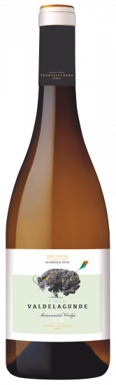 2024 Valdelagunde Cuvée Especial Castilla y León V.T. trocken - Bodegas Pedro Escudero