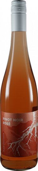 2024 Pinot Noir  Rosé trocken - Weingut Andreas Renz