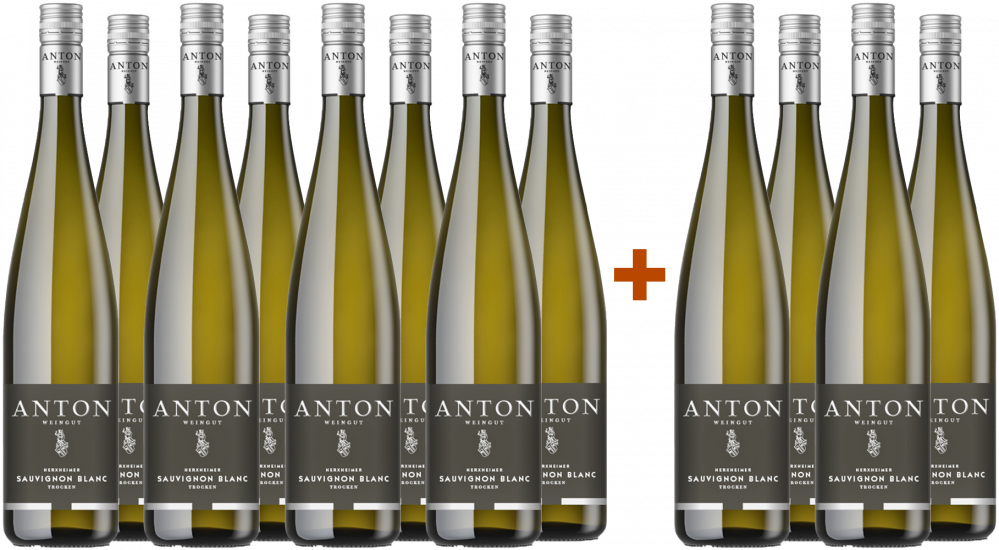 8+4 Paket Herxheimer Sauvignon Blanc trocken - Weingut Anton