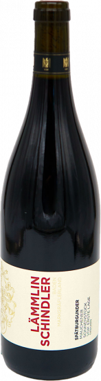 2020 Mauchener Sonnenstück Spätburgunder Erste Lage trocken Bio - Weingut Lämmlin-Schindler
