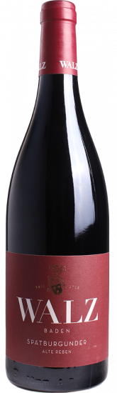 2022 Maltesergarten Spätburgunder 