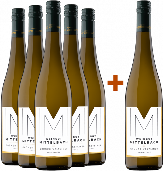 5+1  Grüner Veltliner Kaiserstiege Kremstal DAC 2025 - Weingut Mittelbach