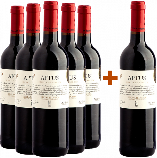 5+1 Aktionspaket Aptus Ribera del Duero DO - Bodegas Peñalba Herraiz