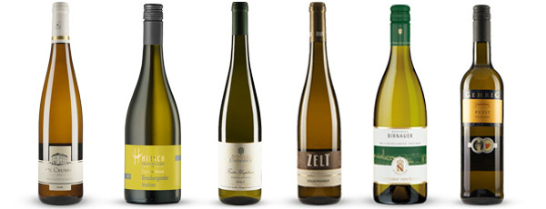 WirWinzer-Favoriten 2014: Genießer-Paket Weißwein