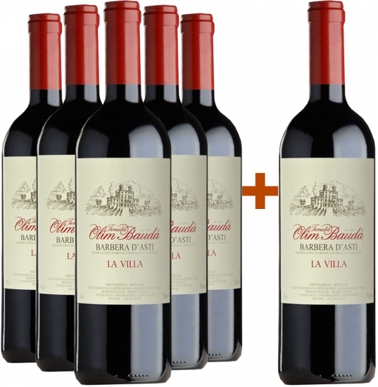 Bio - Tenuta Olim Bauda