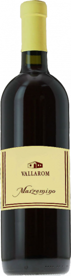 2021 Marzemino Trentino DOC Bio - Travino Special Valsugana