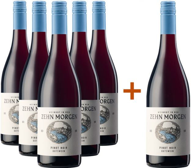5+1 Paket Pinot Noir Bio - Weingut In den Zehn Morgen