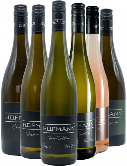 Weinbau Hofmann Kennenlern-Paket - Weinbau Markus Hofmann