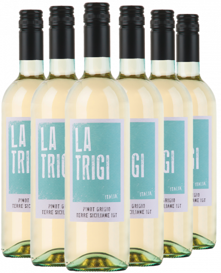 6er Paket Pinot Grigio Terre Siciliane IGP - WirWinzer Select Teck