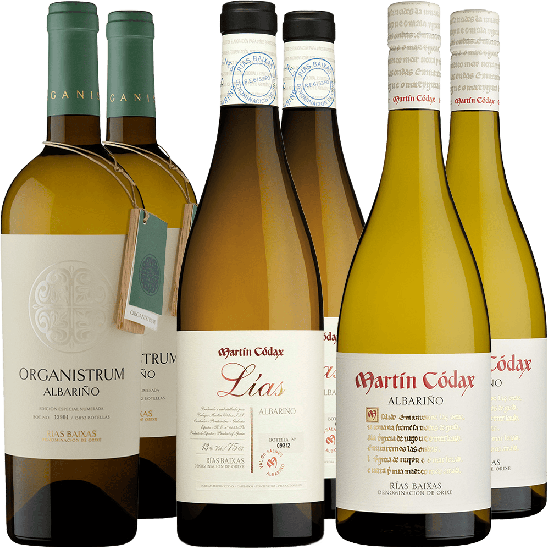 Probierpaket Martín Codax Rias Baixas DO - Bodegas Martín Códax