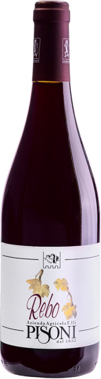 2022 Rebo Vigneti delle Dolomiti IGP trocken Bio - Pisoni Azienda Agricola