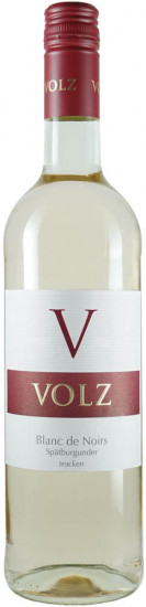 2023 Spätburgunder Blanc de Noirs trocken - Weingut Volz & Sohn