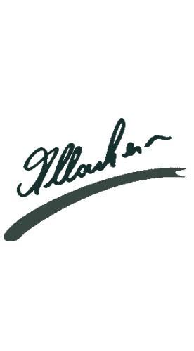 2024 VOLKSFESTWEIN Welschriesling trocken - Weingut Allacher