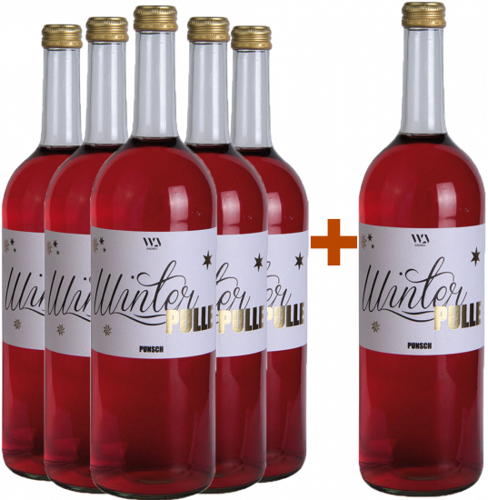 5+1 Winterpunsch alkoholfrei 1,0 L - Andres am Lilienthal